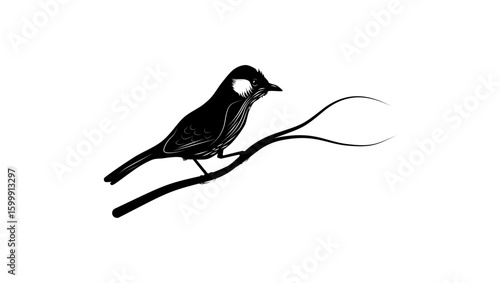Silver-eared Mesia bird, black isolated silhouette