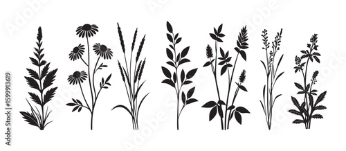 Black Silhouettes of Wildflowers and Grasses Botanical Set