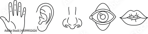 Five human senses represented by simple line art icons: hand, ear, nose, eye, and mouth.