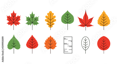 Collection of stylized autumn leaves in red green and yellow representing fall season elements and nature