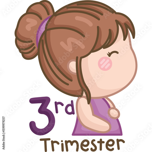 a vector of pregnant trimester
