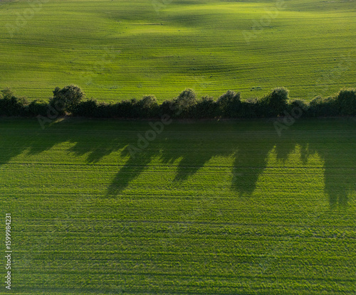 The view of agriculture during evening. 