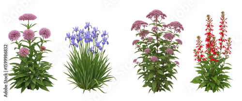 Collection of blooming perennial flowers isolated on transparent background, colorful garden plants for landscaping and design