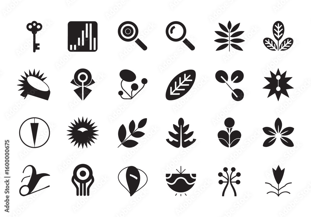Fototapeta premium Collection of Botanical and Search Iconography in Black and White a Versatile Asset for Design Projects