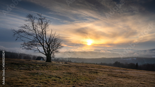 Fototapeta Naklejka Na Ścianę i Meble -  Samotne Drzewo Na Hali Jaworowej w Brennej z dramatycznie wyglądającym niebem i zbliżającym się zachodem słońca.