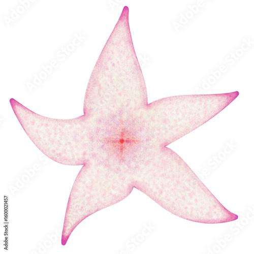 starfish 