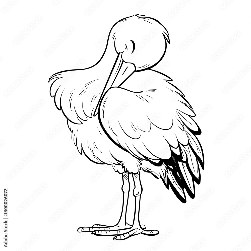 Fototapeta premium Outline Simple Standing Stork with Head Preening Feather Illustration. Ai Generated Images