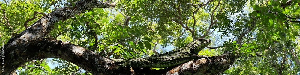Fototapeta premium Deep jungle canopy with vibrant reptiles in mid-day sunlight