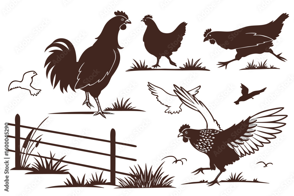 Fototapeta premium Farmyard Fowl Silhouettes – Detailed Pose Variations 