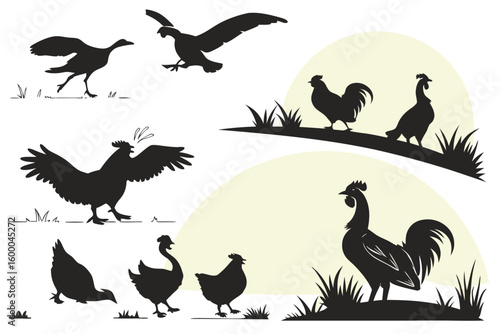 Farmyard Fowl Silhouettes – Detailed Pose Variations
