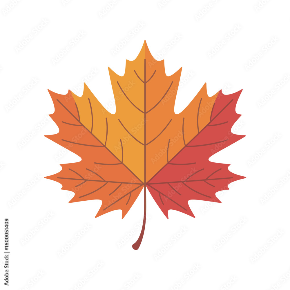 Obraz premium Autumn Maple Leaf