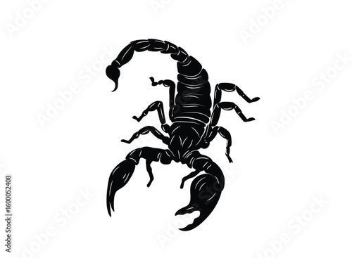 Shadow scorpion is raising its venomous tail gracefully. Graphic of isolated element on white background. Poisonous insect. Vector illustration.