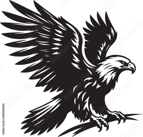 Eagle flying vector, Eagle bird clipart, African hawk flying vector silhouette illustration 