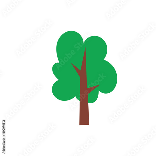 Four different types of trees are shown in a row, with the first tree being the tallest and the last tree being the shortest. 