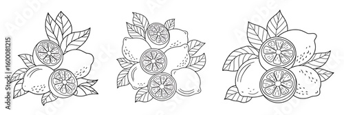 Three arrangements of lemons and leaves for coloring book pages or simple graphic designs promoting citrus fruits and healthy lifestyle choices