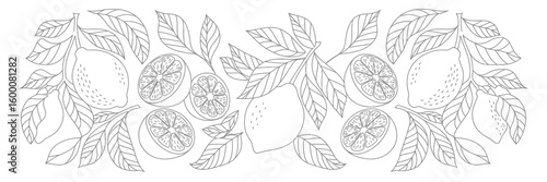 Elegant Line Art Border of Lemons and Leaves Botanical Illustration for Design Projects and Creative Applications