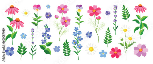 Set of flowers, leaves in cartoon style. Vector illustration of green leaves, delicate flowers: echinacea, chamomile, violets, cosmeia, forget-me-nots, lavender, flax isolated on a white background.