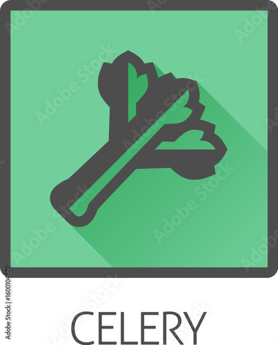 Celery vegetable food stylised icon concept. Possibly an icon for the allergen or allergy.