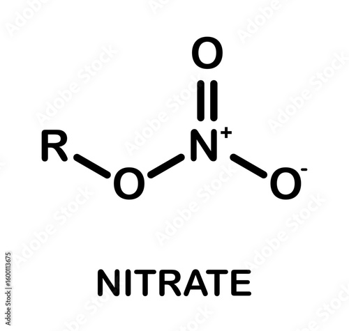 Nitrate functional group chemical structure