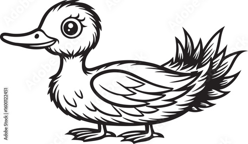 Cute cartoon duckling illustration bird animal