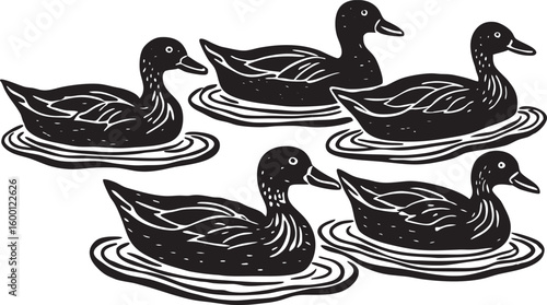 Five Black Ducks Floating on Water waterfowl bird