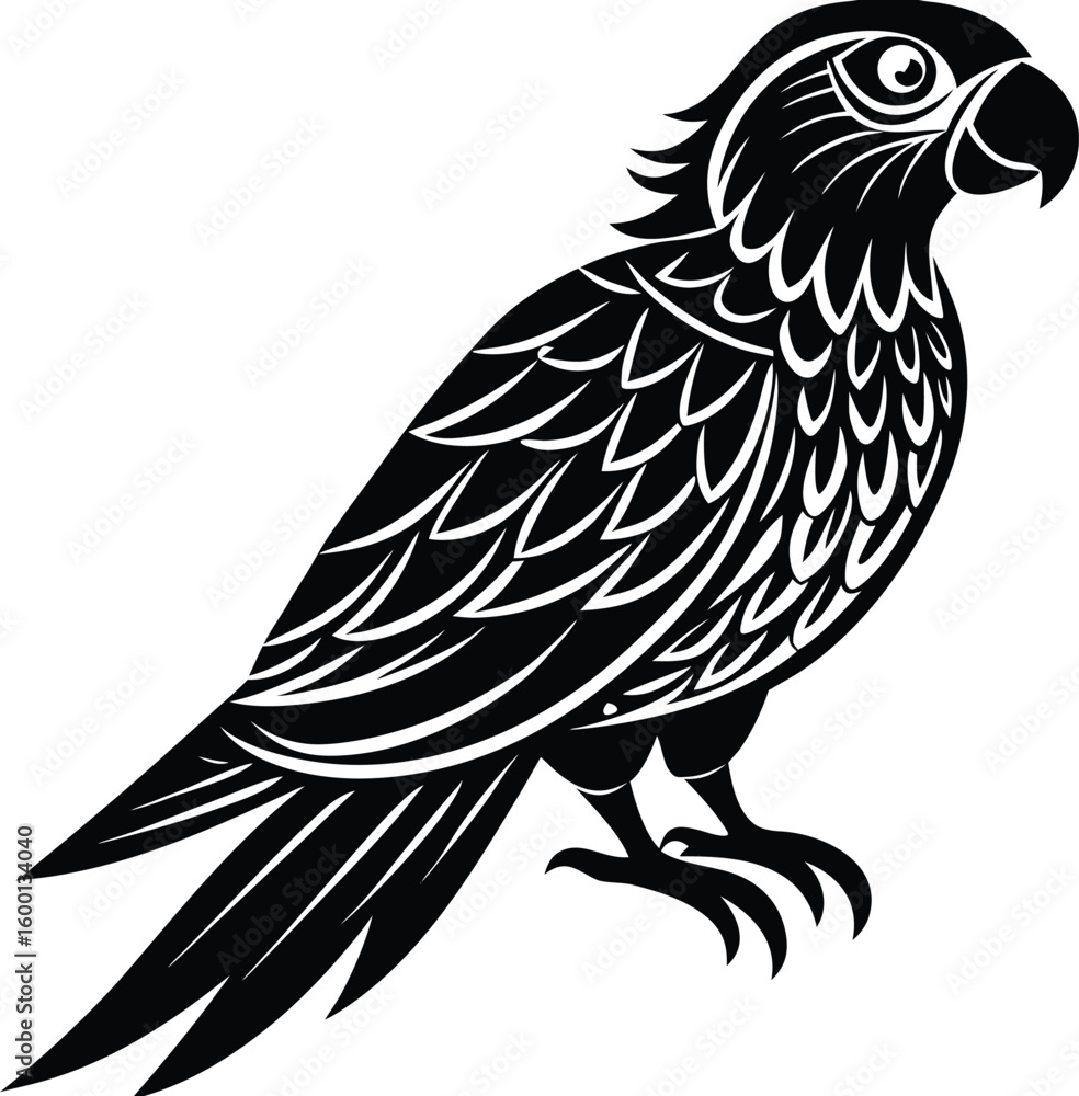 Obraz premium parrot-silhouette--parrot-bird-silhouette-illustra (1).eps