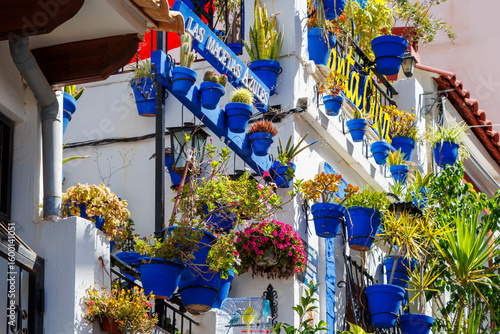 Cuadro en lienzo Colorful flower pots line the walls of a quaint street in Santa Cruz, Alicante, showcasing vibrant greenery and blue containers against bright Mediterranean architecture