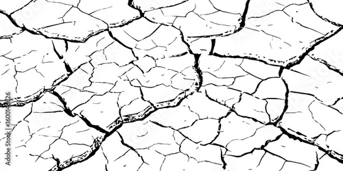 Dry cracked earth texture showing drought and arid climate. Detailed close-up of parched soil pattern. Ideal for backgrounds, environmental themes, or natural surface design.

