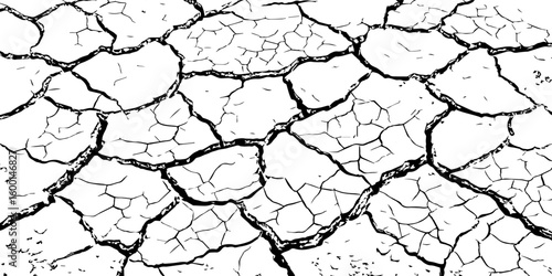 Dry cracked earth texture showing drought and arid climate. Detailed close-up of parched soil pattern. Ideal for backgrounds, environmental themes, or natural surface design.

