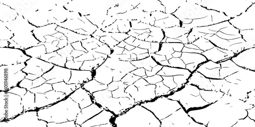 Dry cracked earth texture showing drought and arid climate. Detailed close-up of parched soil pattern. Ideal for backgrounds, environmental themes, or natural surface design.

