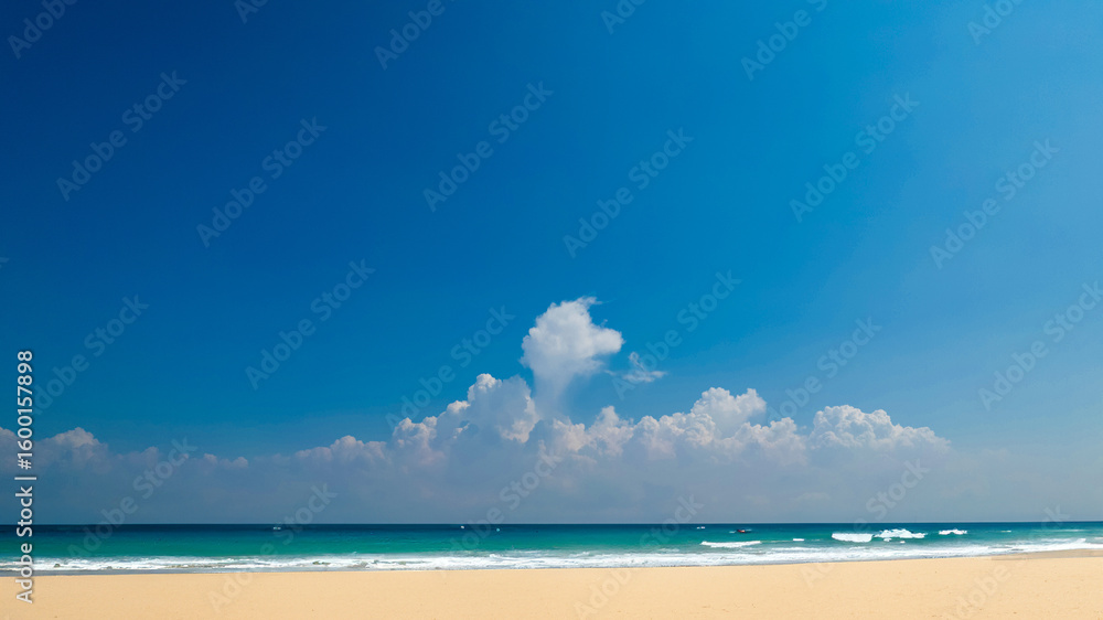 Fototapeta premium 砂浜と入道雲