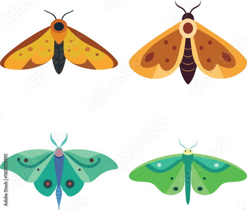 Colorful cartoon moth vector illustration set featuring unique wing patterns in green, teal, yellow, and brown, ideal for nature designs, insect graphics, kids' books, and educational materials.
