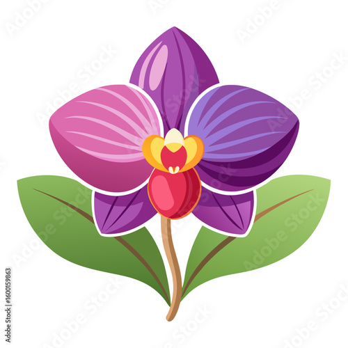 pink orchid flower