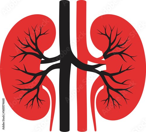 Solid Red Human Kidneys Silhouette Medical Symbol