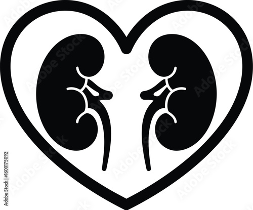 Healthy Human Kidneys with Arteries and Veins Illustration