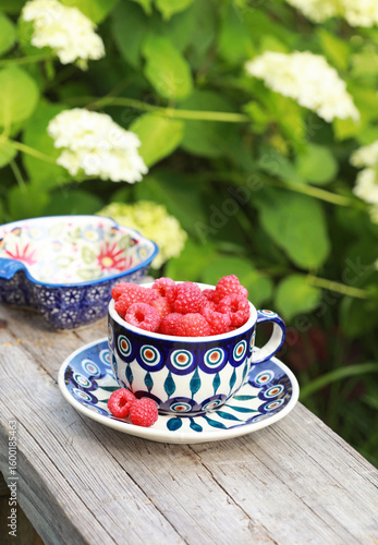 Fresh raspberries in a beautiful ceramic cup and saucer on a wooden bench in the garden. Selective focus.