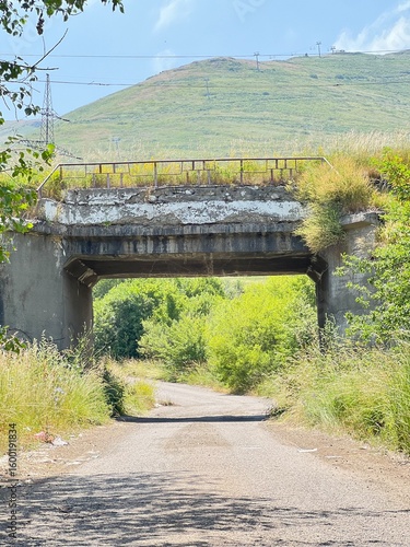 driving through the forest