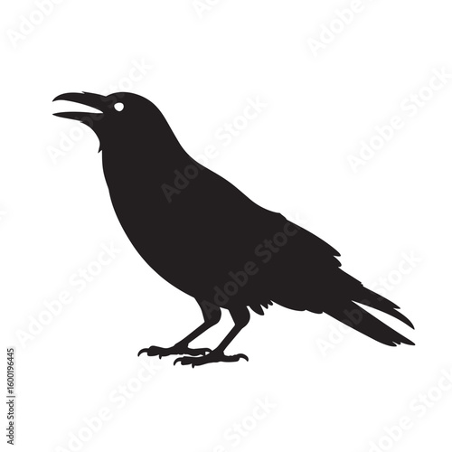 Black Crow or Raven Silhouette Crawing or Standing - Intelligent Bird Vector Illustration for Nature, Gothic, and Halloween Designs

