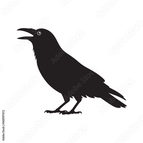 Black Crow or Raven Silhouette Crawing or Standing - Intelligent Bird Vector Illustration for Nature, Gothic, and Halloween Designs

