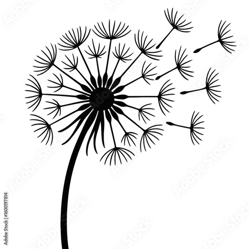 Dandelion Seeds Blowing in the Wind. A simple, elegant illustration of a dandelion puff releasing its seeds, symbolizing wishes, dreams, and freedom.