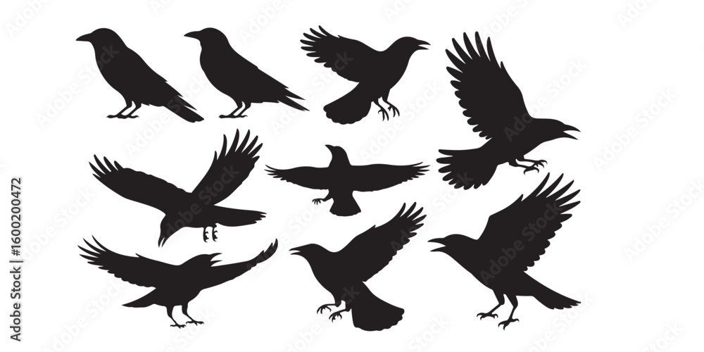Obraz premium A collection of black crow silhouettes in various poses against a white background image design