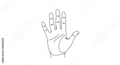 Minimalist linear drawing of an open hand palm with detailed fingers