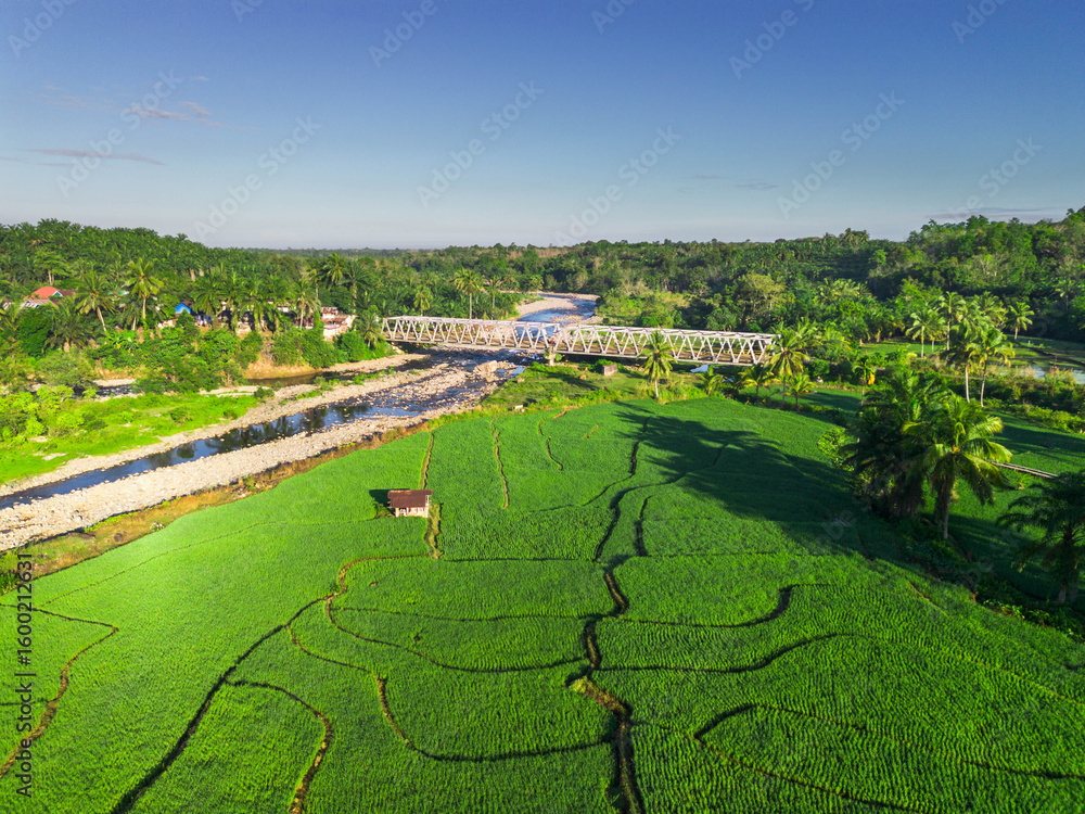 Naklejka premium Beautiful morning view indonesia panorama landscape paddy fields with beauty color and sky natural light