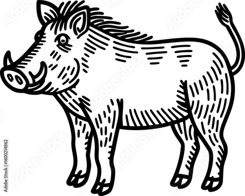 Wild boar illustration, hand drawn animal sketch in black and white, vintage etching drawing