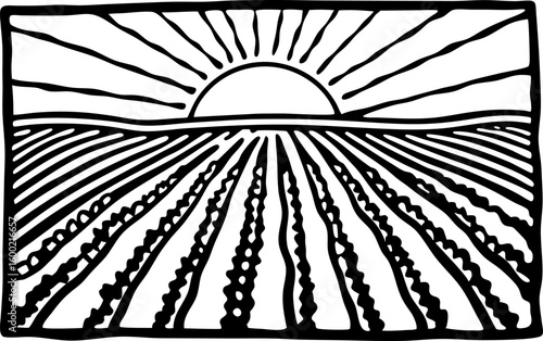 Sunrise over agricultural field linear landscape illustration with morning sun, horizon, crop rows, rural farmland