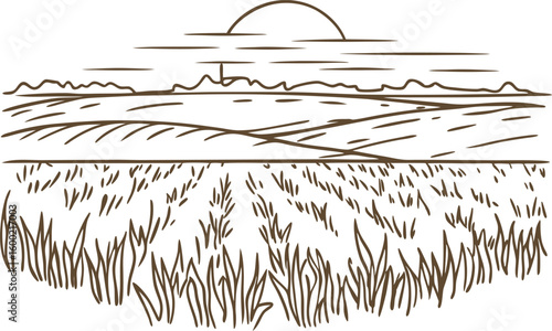 Rural landscape illustration with field, sunrise and crops countryside sunrise minimal linear drawing