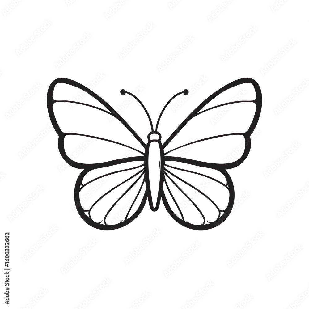 Elegant butterfly design for nature and art inspiration Elegant butterfly design for nature and art inspiration