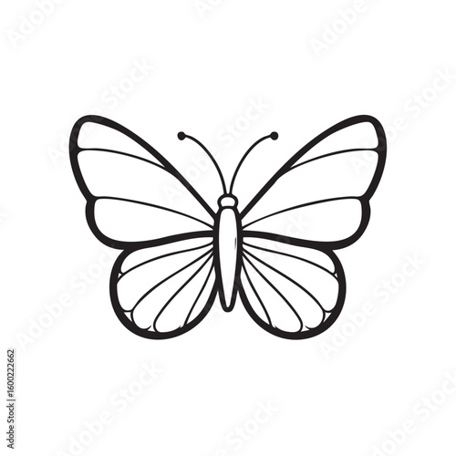 Elegant butterfly design for nature and art inspiration