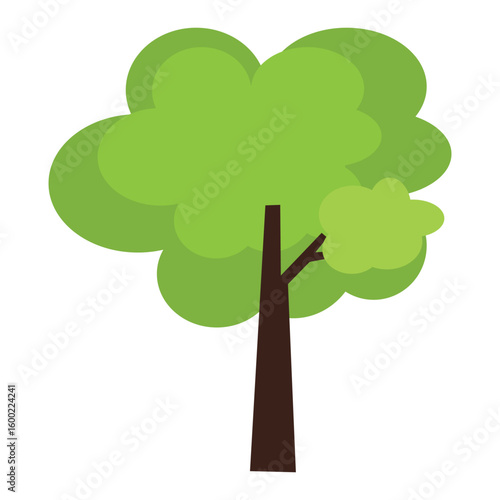 Green tree cartoon design nature and plant design. tropical tree collcection