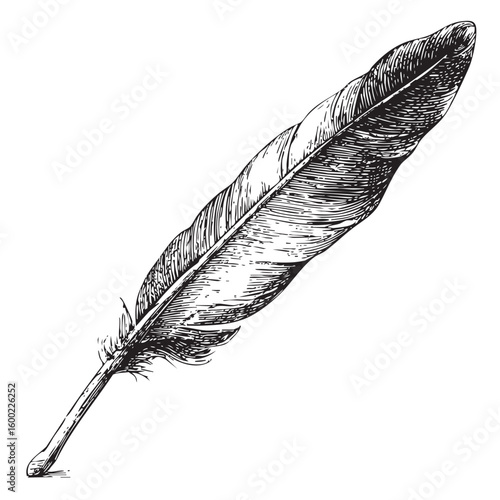 Elegant quill pen for writing and crafting ideas and designs